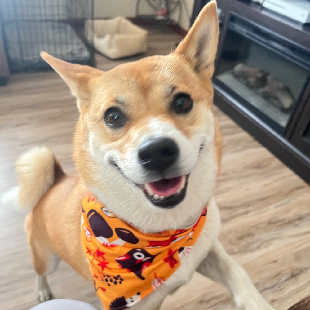 Meet your Posher, Laura